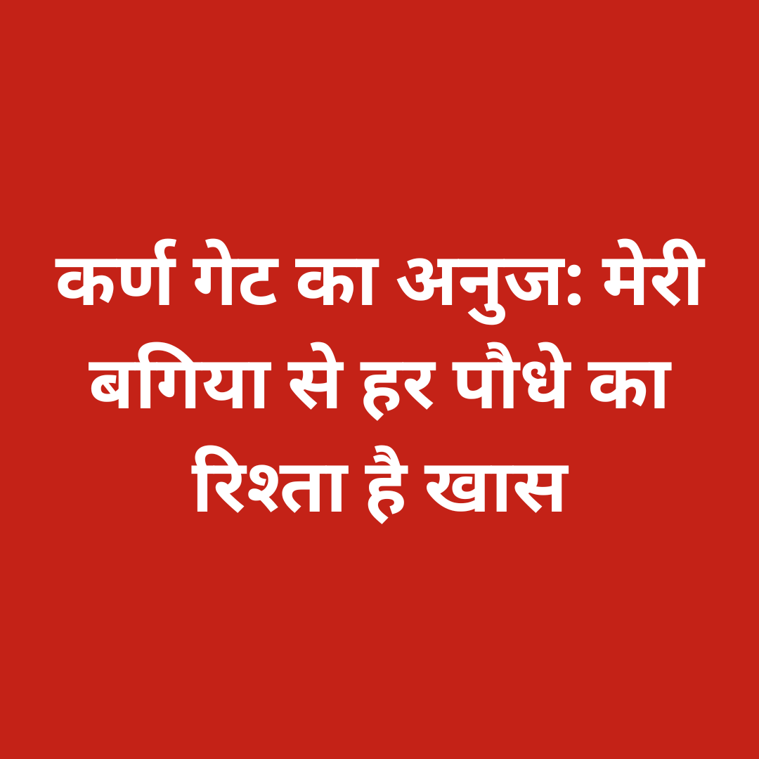कर्ण गेट का अनुज: मेरी बगिया से हर पौधे का रिश्ता है खास