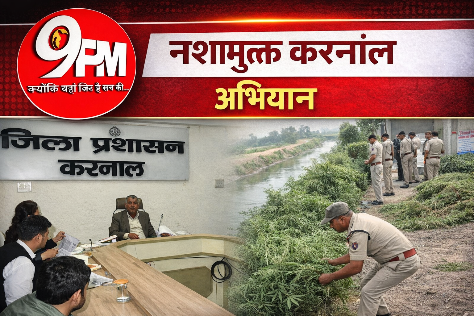 नशामुक्त करनाल अभियान: नशेड़ियों की पहचान, नहर किनारों से उखाड़े जाएंगे भांग के पौधे | बड़ी कार्रवाई