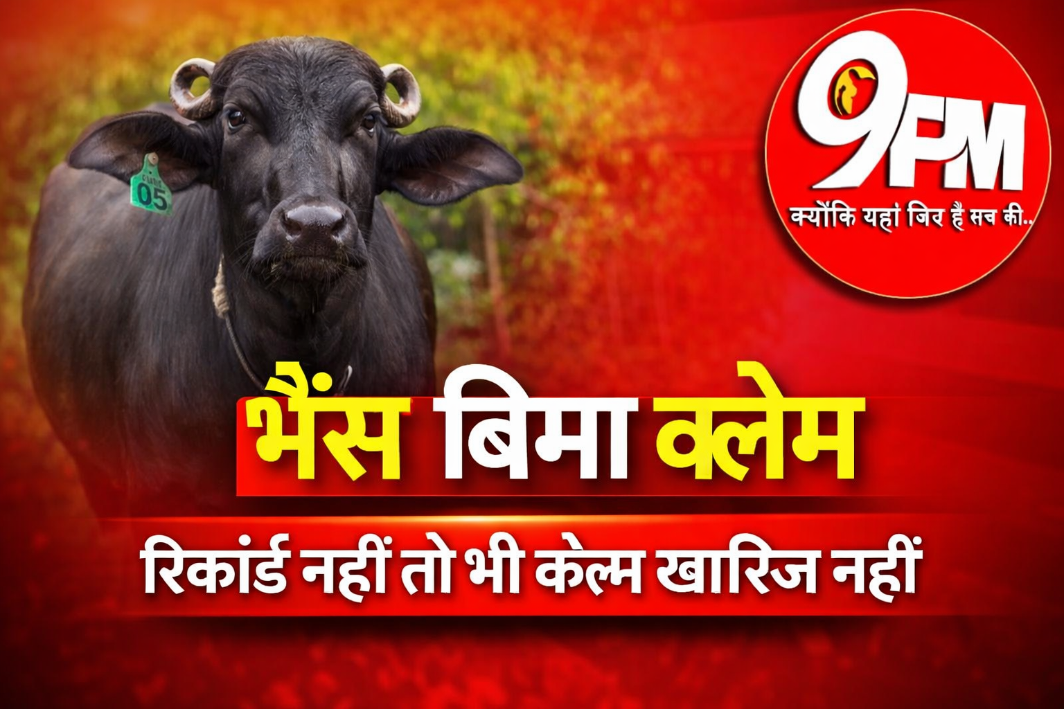 भैंस बीमा क्लेम पर करनाल उपभोक्ता आयोग का बड़ा फैसला: रिकॉर्ड नहीं तो भी क्लेम खारिज नहीं!
